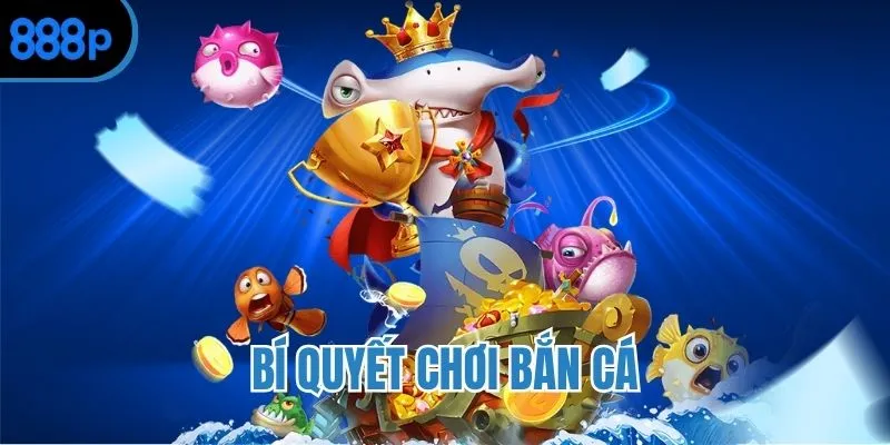 Kinh nghiệm đi săn từ ngư thủ hàng đầu